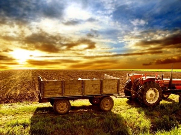 Bando 2019 credito di funzionamento per le imprese agricole