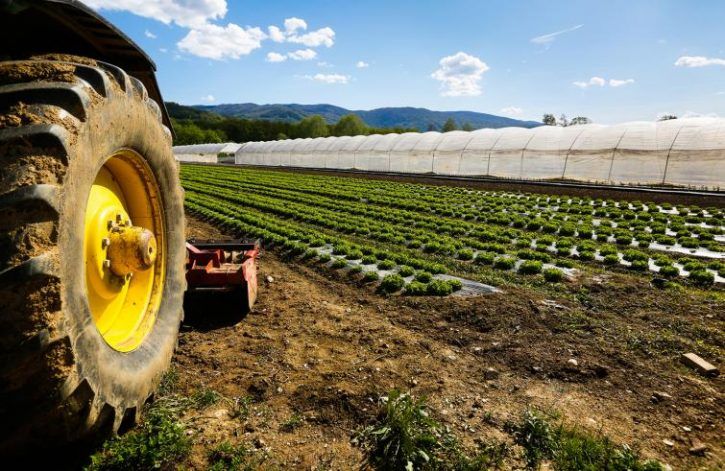 Pagamenti per impegni agro climatico ambientali