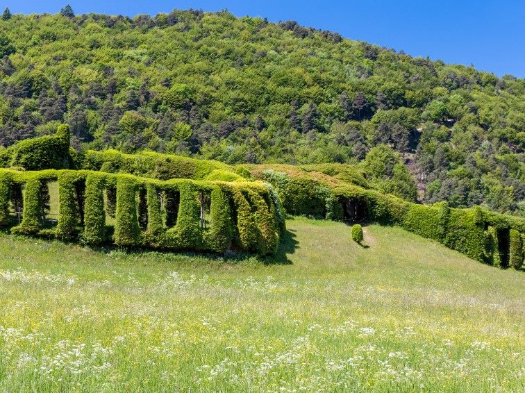 Finanziamento di interventi conservativi dei roccoli lombardi anno 2019