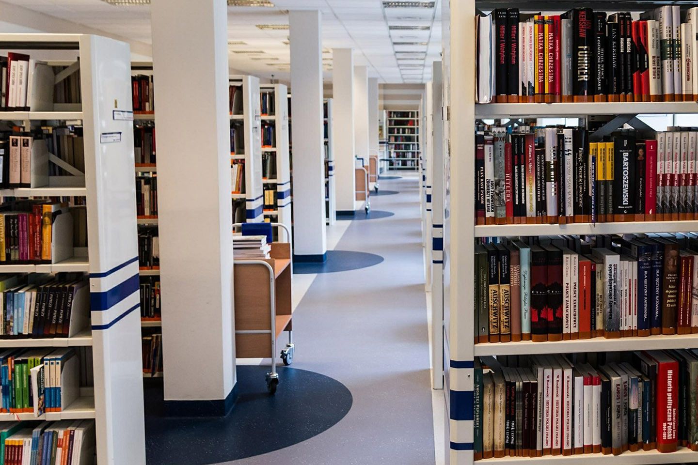 Biblioteche ed archivi storici 2019 - CC