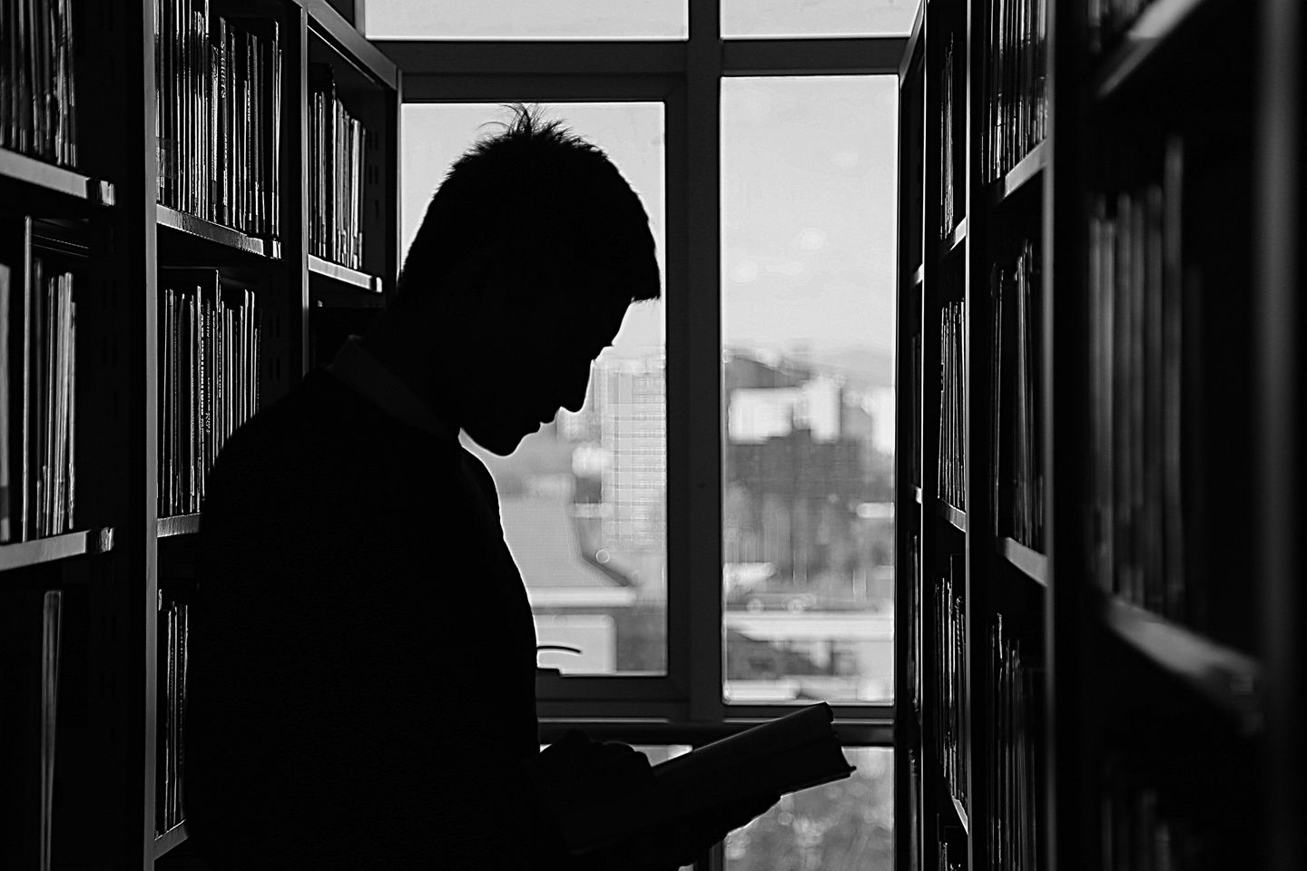 Biblioteche ed archivi storici 2019