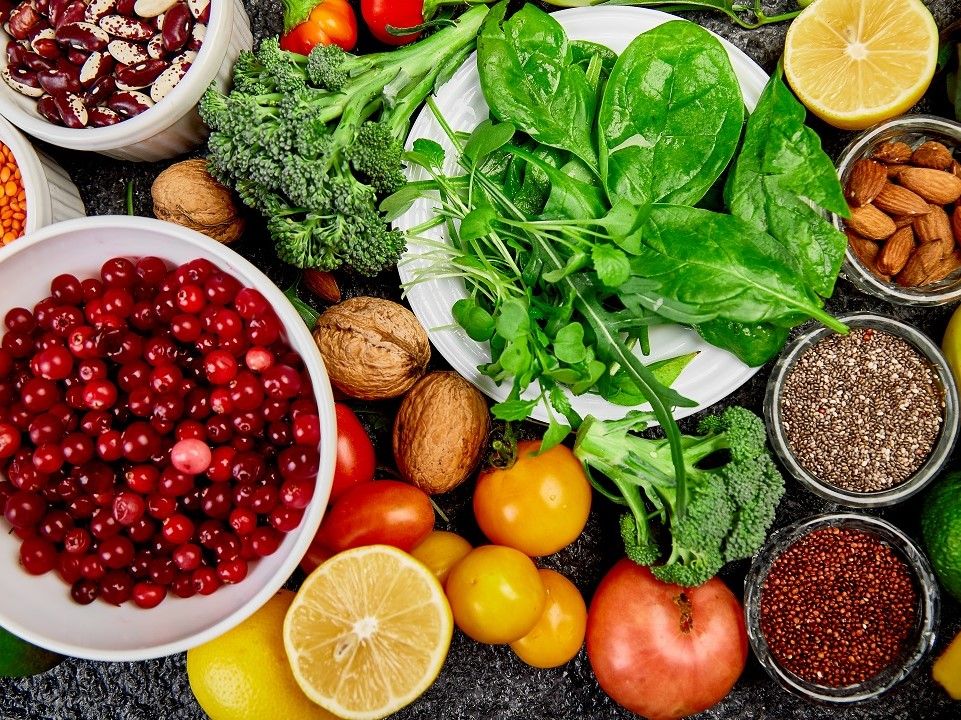 Approvazione dei criteri per l'assegnazione di contributi per il finanziamento di progetti innovativi, che favoriscano lo sviluppo e la costituzione di reti per la tutela e la promozione del diritto al cibo