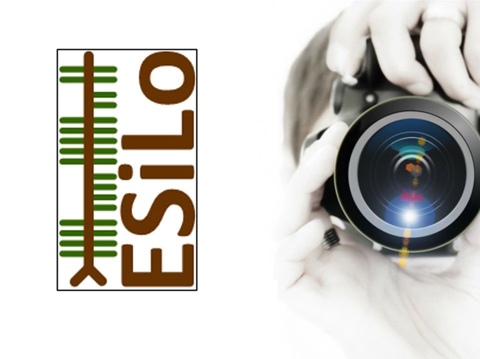 Concorso Fotografa i tuoi simboli