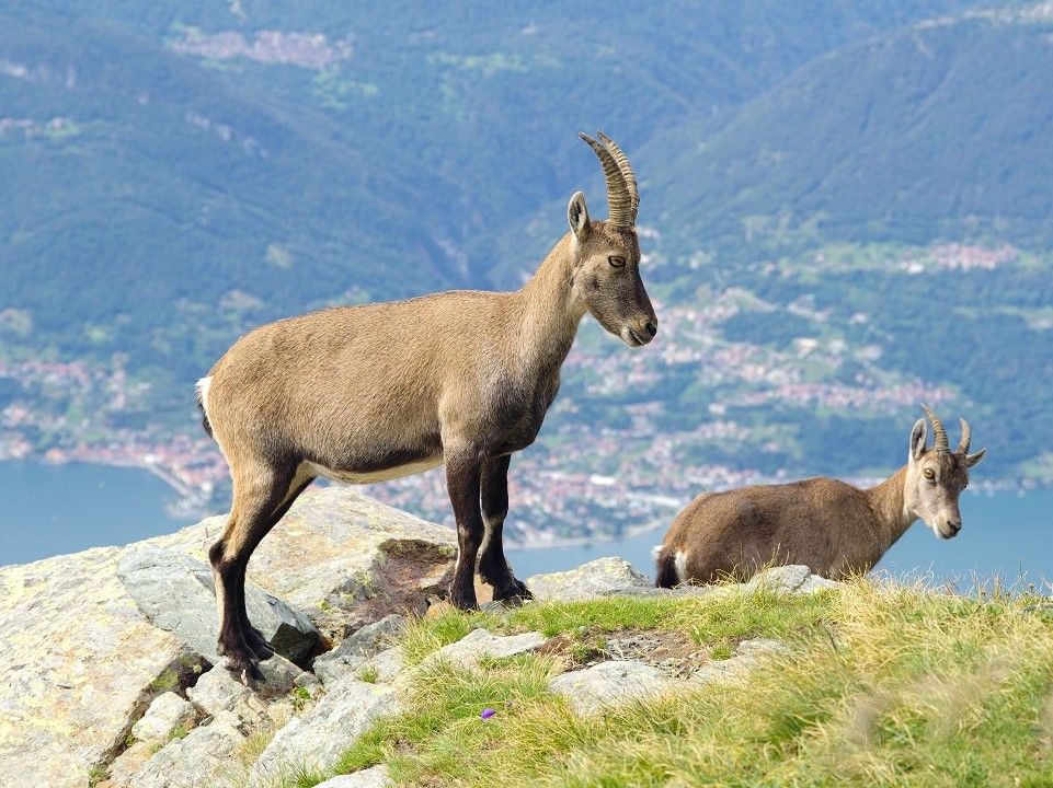 Manutenzione Straordinaria Riserve Naturali - 2020