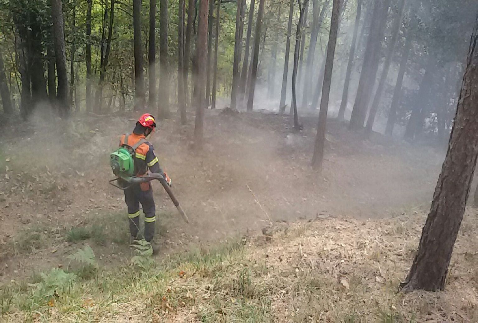 Contributi a imprese agricole colpite dalle calamità 27-30 ottobre 2018 (Ordinanza di Protezione Civile 558/2018)