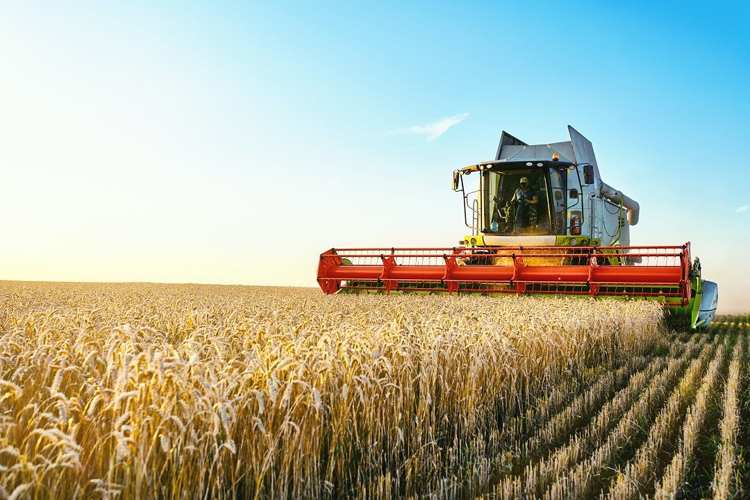 Bando operativo per l'attuazione della "Misura Regionale di sostegno ai servizi di sostituzione in agricoltura"