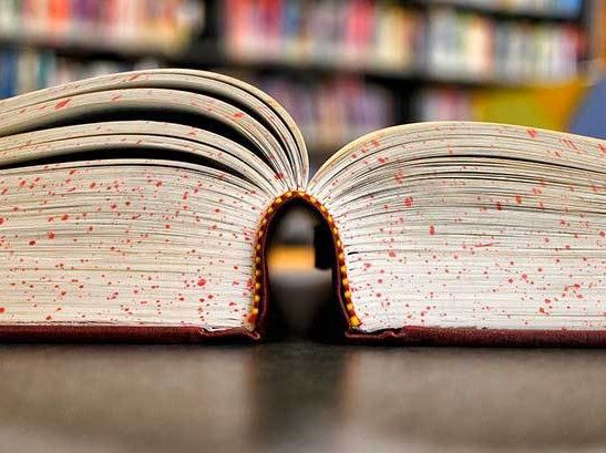 Avviso Unico Cultura 2017: Ambito biblioteche e archivi