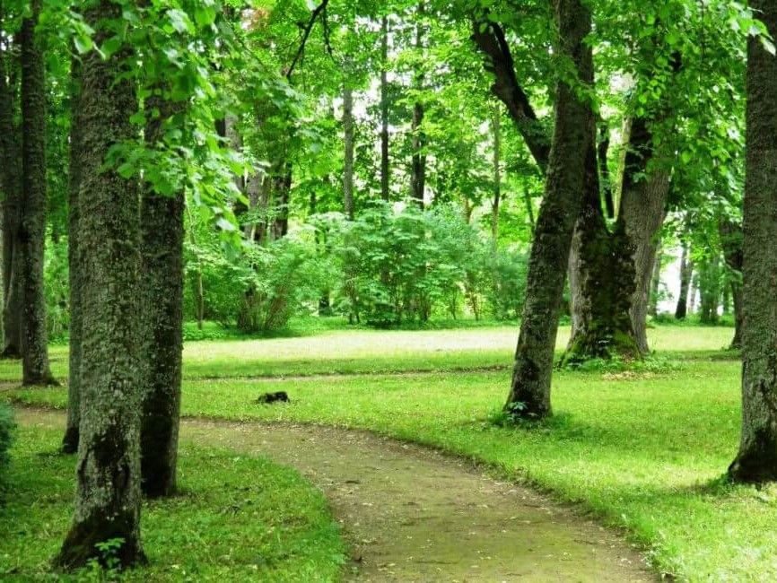Bando contributi regionali enti parco 2018