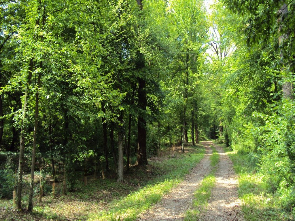Assegnazione di contributi regionali a favore degli enti parco per interventi di manutenzione straordinaria, recupero e riqualificazione 2021