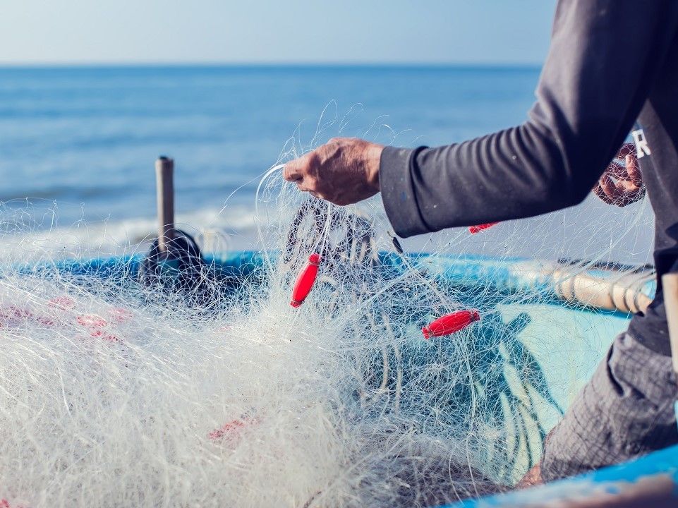 Concessione delle agevolazioni a favore dei pescatori professionisti danneggiati dall’emergenza COVID-19