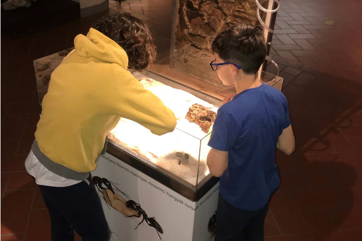 Festival di musica e di danza triennali-ed. 2021