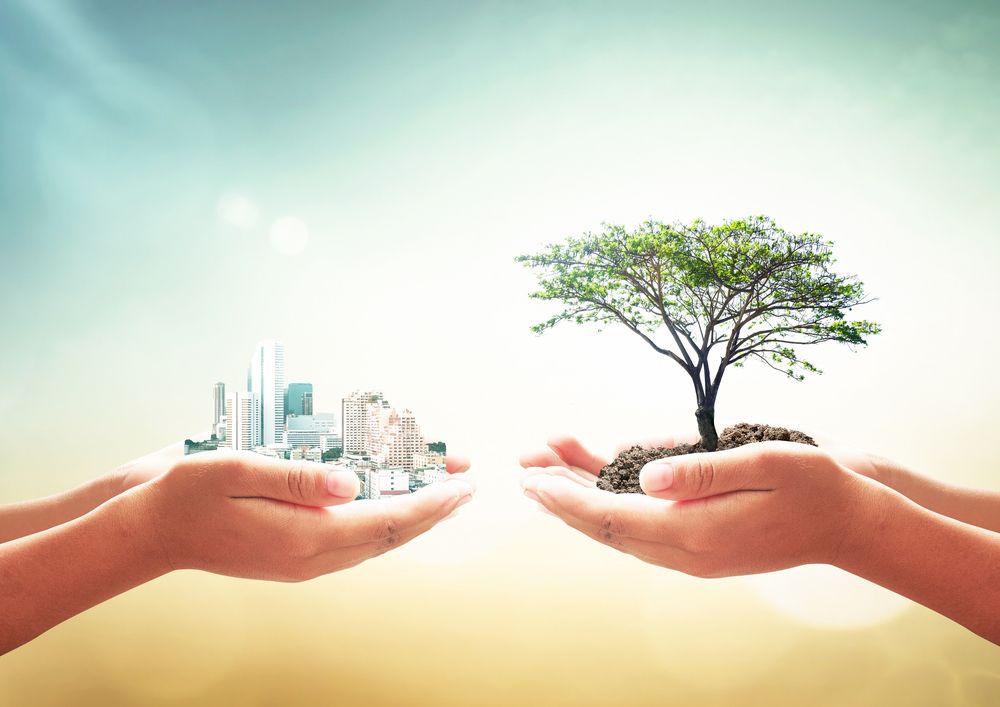 FEC 10/2021Richiesta di preventivo per acquisizione servizio di assistenza tecnica per procedimento di valutazione ambientale strategica (VAS) e di valutazione di incidenza (VIC) del Programma regionale ENERGIA AMBIENTE E CLIMA (PREAC)