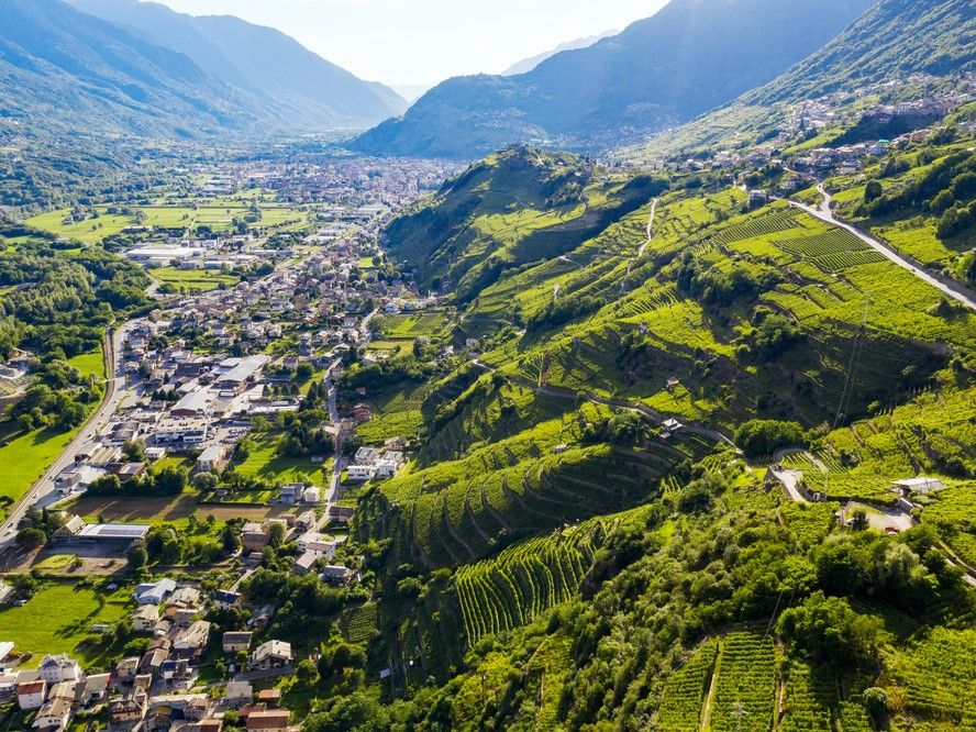 BANDO TERRAZZAMENTI 2020