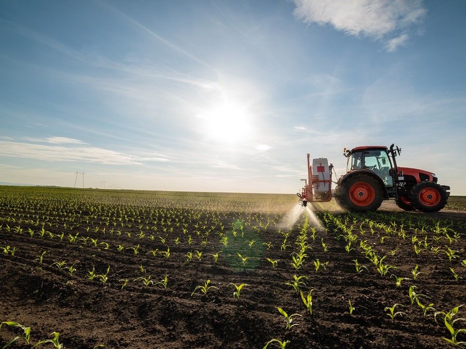 Bando per il finanziamento di progetti di ricerca in campo agricolo e forestale